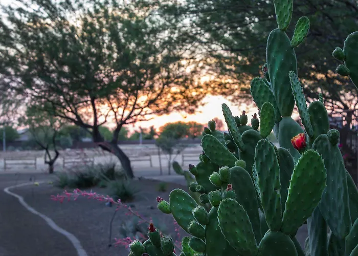 Bluegreen Vacations Cibola Vista And Spa, An Ascend Collection Resort 4*